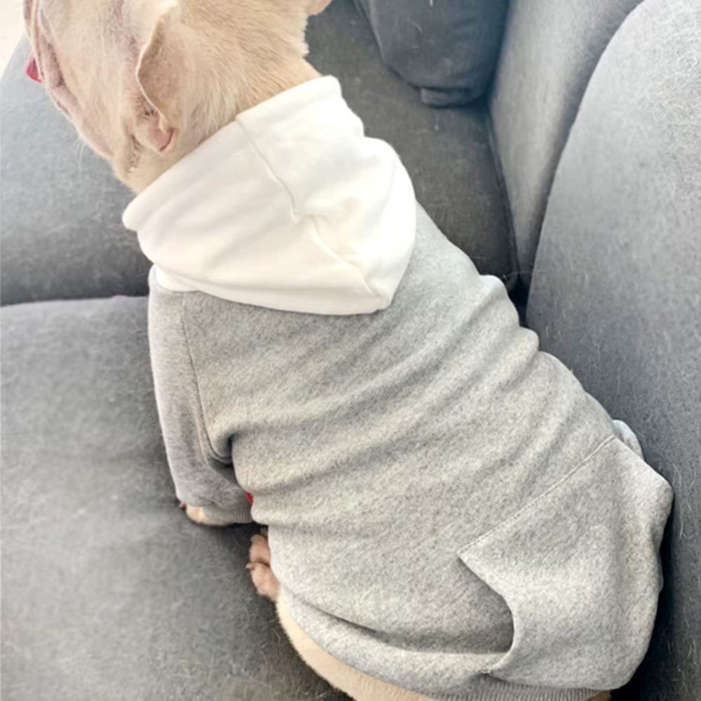 Matching Dog Hoodies