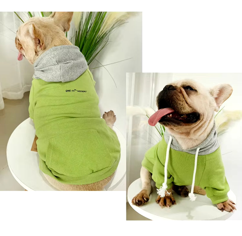 Matching Dog Hoodies