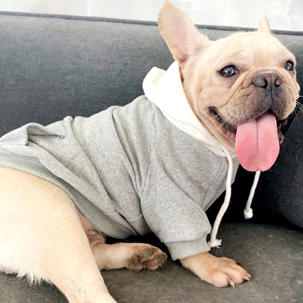 Matching Dog Hoodies