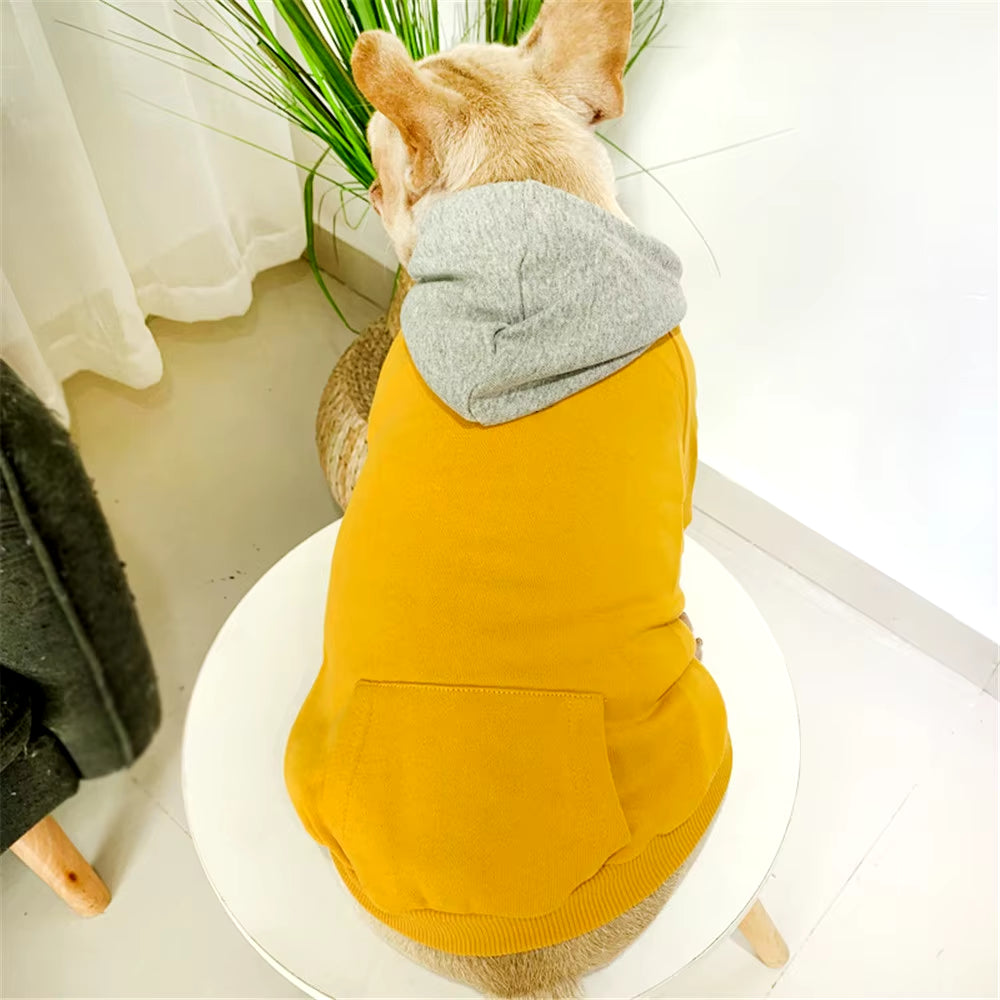 Matching Dog Hoodies